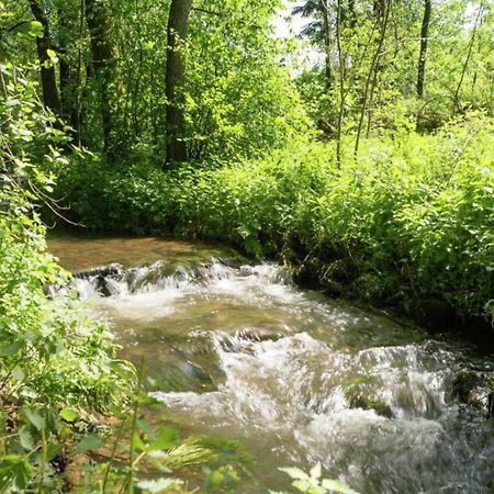 Charming Holiday Home In Malmedy With Sauna エクステリア 写真