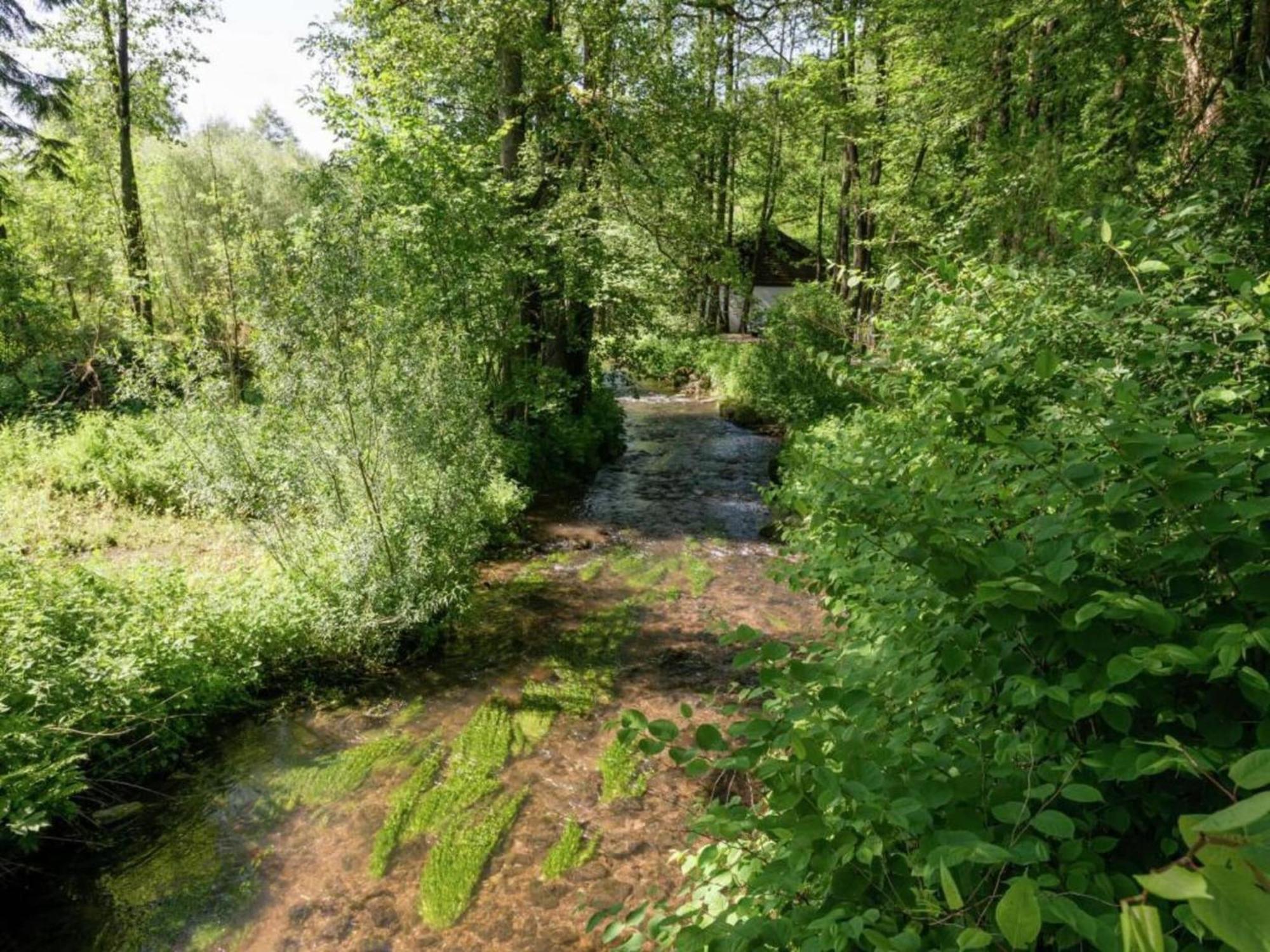 Charming Holiday Home In Malmedy With Sauna エクステリア 写真